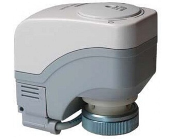 ssa31