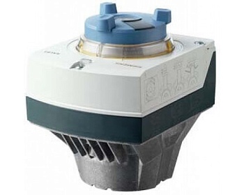 sal81-03t10