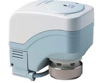 ssp81-04