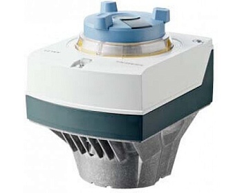 sal31-03t10